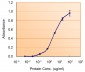 Goat Anti-NANOG (C Terminus) Antibody